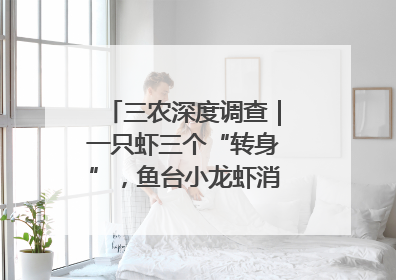 三农深度调查｜一只虾三个“转身”，鱼台小龙虾消费季升级