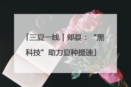 三夏一线｜郏县：“黑科技”助力夏种提速