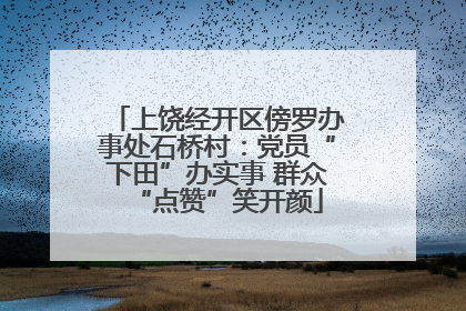 上饶经开区傍罗办事处石桥村：党员“下田”办实事 群众“点赞”笑开颜