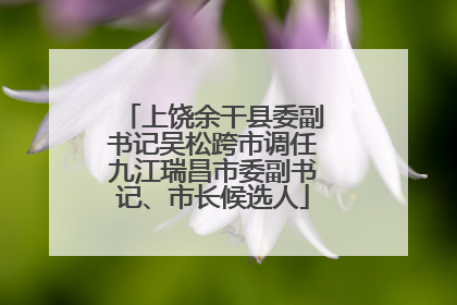 上饶余干县委副书记吴松跨市调任九江瑞昌市委副书记、市长候选人