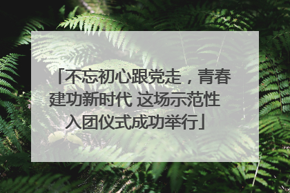 不忘初心跟党走，青春建功新时代 这场示范性入团仪式成功举行