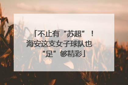 不止有“苏超”！海安这支女子球队也“足”够精彩