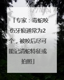专家：毒蛇咬伤牙痕通常为2个，被咬后尽可能记清蛇特征或拍照