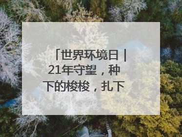 世界环境日｜21年守望，种下的梭梭，扎下家园的根与梦