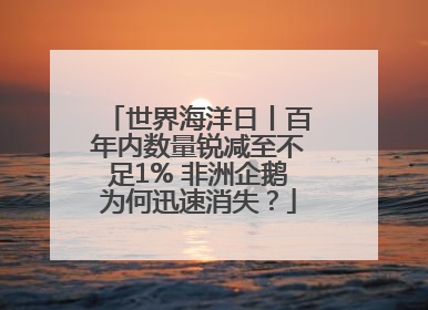 世界海洋日丨百年内数量锐减至不足1% 非洲企鹅为何迅速消失？