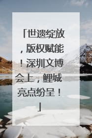 世遗绽放，版权赋能！深圳文博会上，鲤城亮点纷呈！