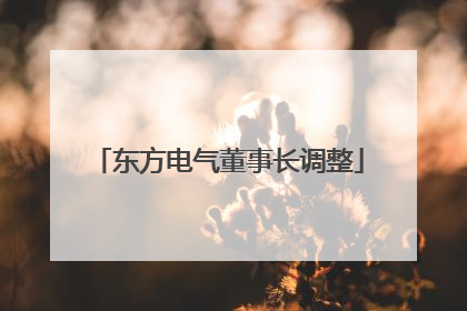 东方电气董事长调整