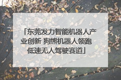 东莞发力智能机器人产业创新 狗熊机器人领跑低速无人驾驶赛道