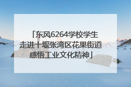 东风6264学校学生走进十堰张湾区花果街道感悟工业文化精神