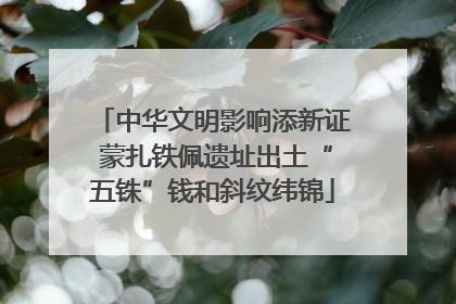 中华文明影响添新证 蒙扎铁佩遗址出土“五铢”钱和斜纹纬锦