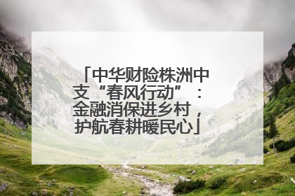 中华财险株洲中支“春风行动”：金融消保进乡村，护航春耕暖民心