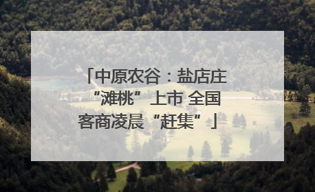 中原农谷：盐店庄“滩桃”上市 全国客商凌晨“赶集”