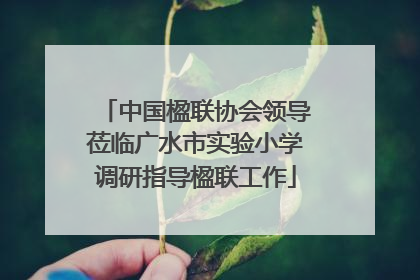 中国楹联协会领导莅临广水市实验小学调研指导楹联工作