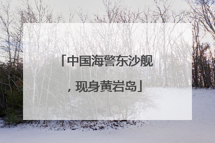 中国海警东沙舰，现身黄岩岛