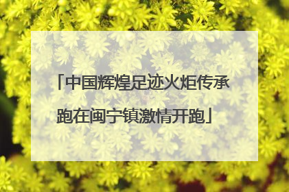 中国辉煌足迹火炬传承跑在闽宁镇激情开跑