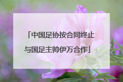 中国足协按合同终止与国足主帅伊万合作