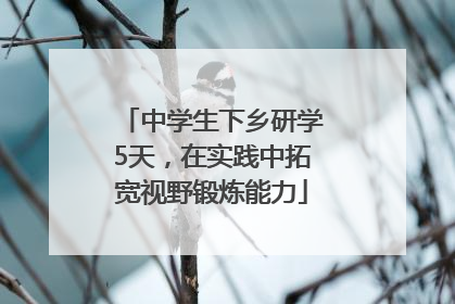 中学生下乡研学5天，在实践中拓宽视野锻炼能力