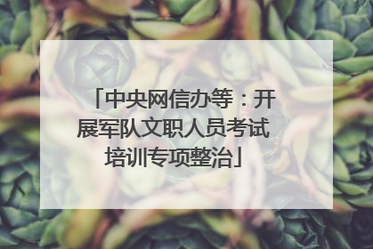 中央网信办等：开展军队文职人员考试培训专项整治