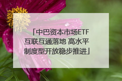 中巴资本市场ETF互联互通落地 高水平制度型开放稳步推进