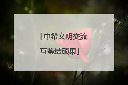 中希文明交流互鉴结硕果
