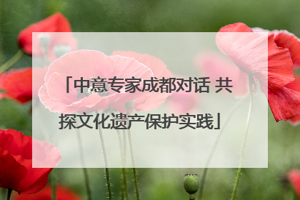 中意专家成都对话 共探文化遗产保护实践
