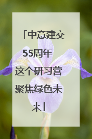 中意建交55周年 这个研习营聚焦绿色未来