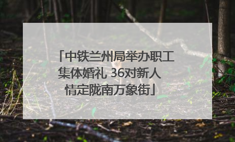 中铁兰州局举办职工集体婚礼 36对新人情定陇南万象街