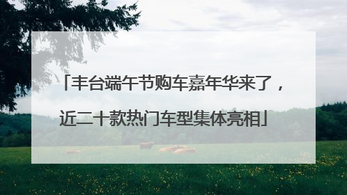 丰台端午节购车嘉年华来了，近二十款热门车型集体亮相