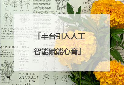丰台引入人工智能赋能心育