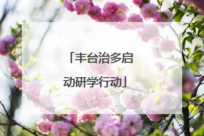 丰台治多启动研学行动