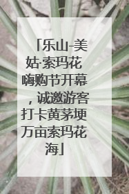 乐山-美姑·索玛花嗨购节开幕，诚邀游客打卡黄茅埂万亩索玛花海