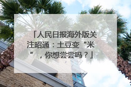 人民日报海外版关注昭通：土豆变“米”，你想尝尝吗？
