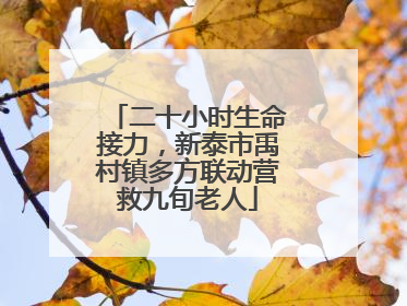 二十小时生命接力，新泰市禹村镇多方联动营救九旬老人