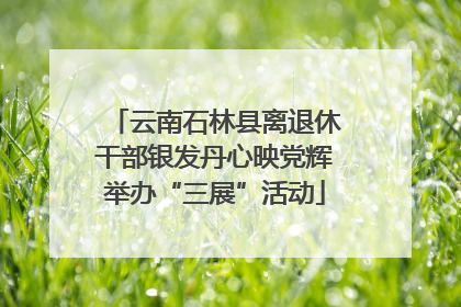 云南石林县离退休干部银发丹心映党辉举办“三展”活动