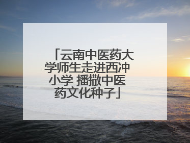 云南中医药大学师生走进西冲小学 播撒中医药文化种子