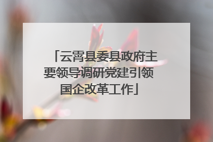 云霄县委县政府主要领导调研党建引领国企改革工作
