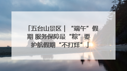 五台山景区｜“端午”假期 服务保障最“粽”要 护航假期“不打烊”