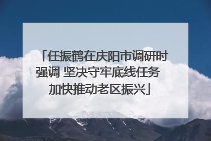 任振鹤在庆阳市调研时强调 坚决守牢底线任务 加快推动老区振兴