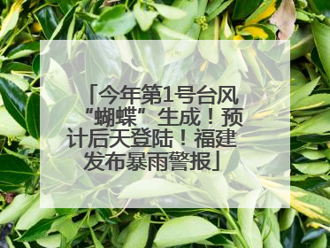 今年第1号台风“蝴蝶”生成！预计后天登陆！福建发布暴雨警报