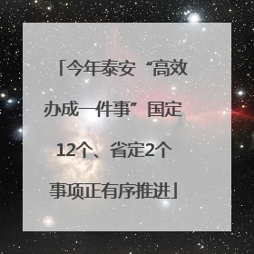 今年泰安“高效办成一件事”国定12个、省定2个事项正有序推进