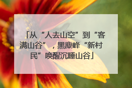 从“人去山空”到“客满山谷”，黑麋峰“新村民”唤醒沉睡山谷