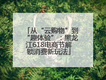 从“云购物”到“趣体验”：黑龙江618电商节解锁消费新玩法