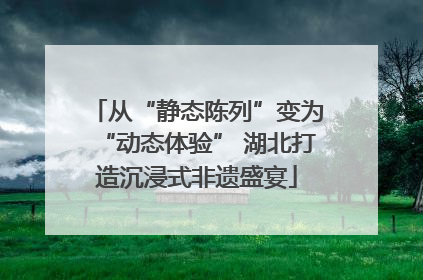 从“静态陈列”变为“动态体验” 湖北打造沉浸式非遗盛宴