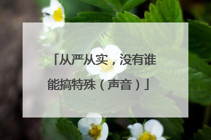 从严从实，没有谁能搞特殊（声音）