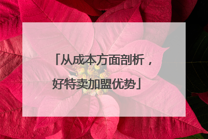 从成本方面剖析，好特卖加盟优势