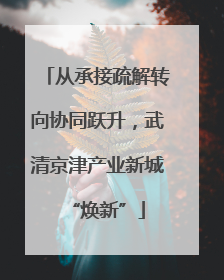 从承接疏解转向协同跃升，武清京津产业新城“焕新”