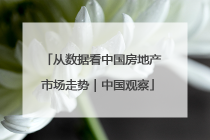 从数据看中国房地产市场走势｜中国观察