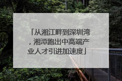 从湘江畔到深圳湾，湘潭跑出中高端产业人才引进加速度