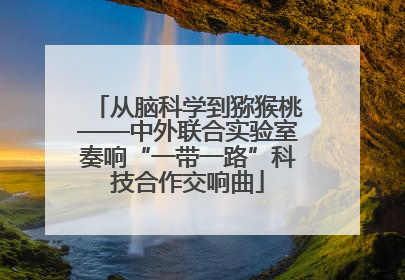从脑科学到猕猴桃——中外联合实验室奏响“一带一路”科技合作交响曲