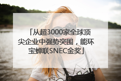 从超3000家全球顶尖企业中强势突围，能环宝蝉联SNEC金奖